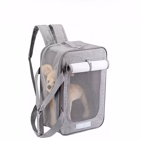 Dry Backpack for Boating Kayaking Swimming with Adjustable Shoulder Strap for Outdoor